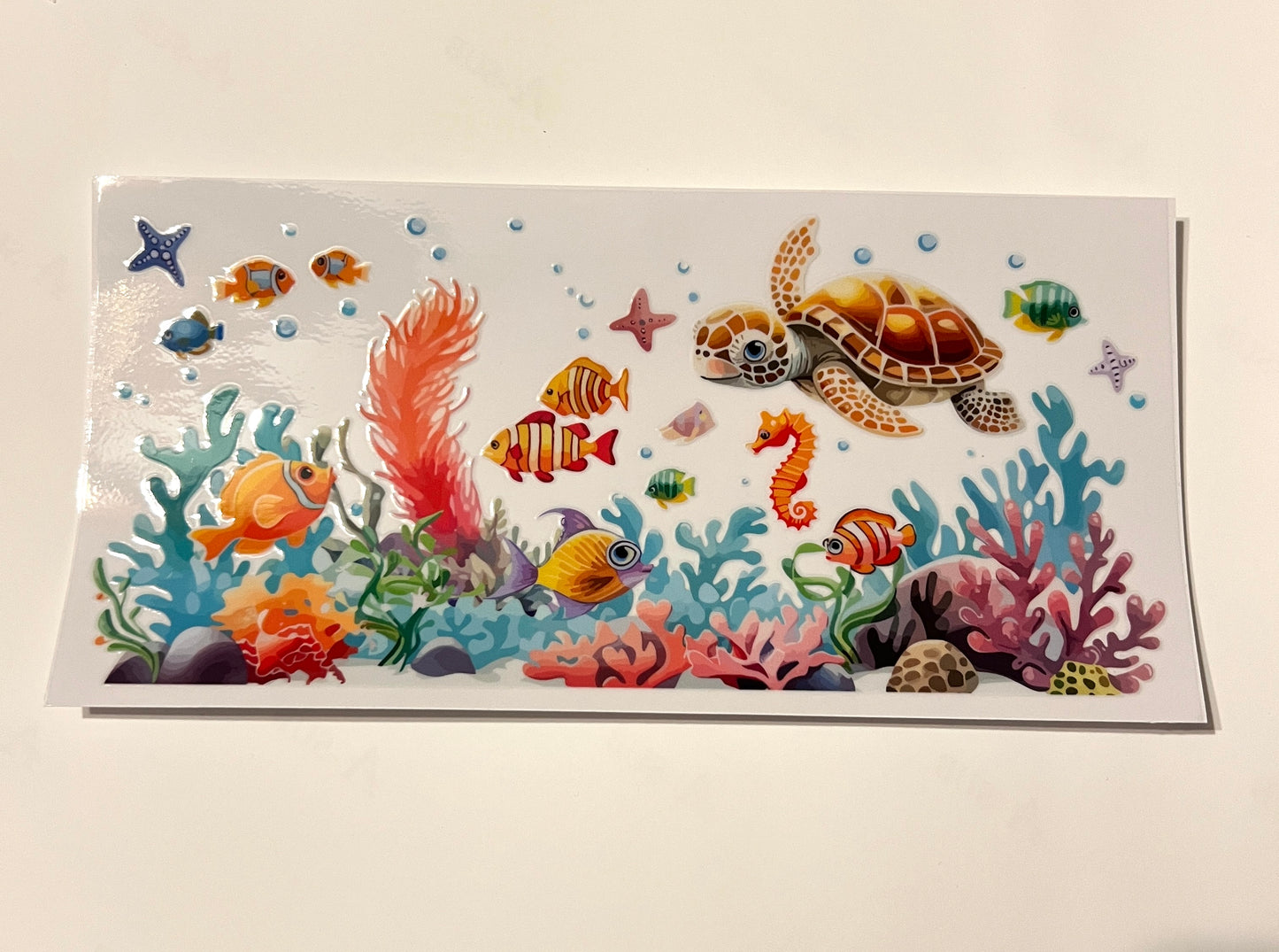 Sea Animals