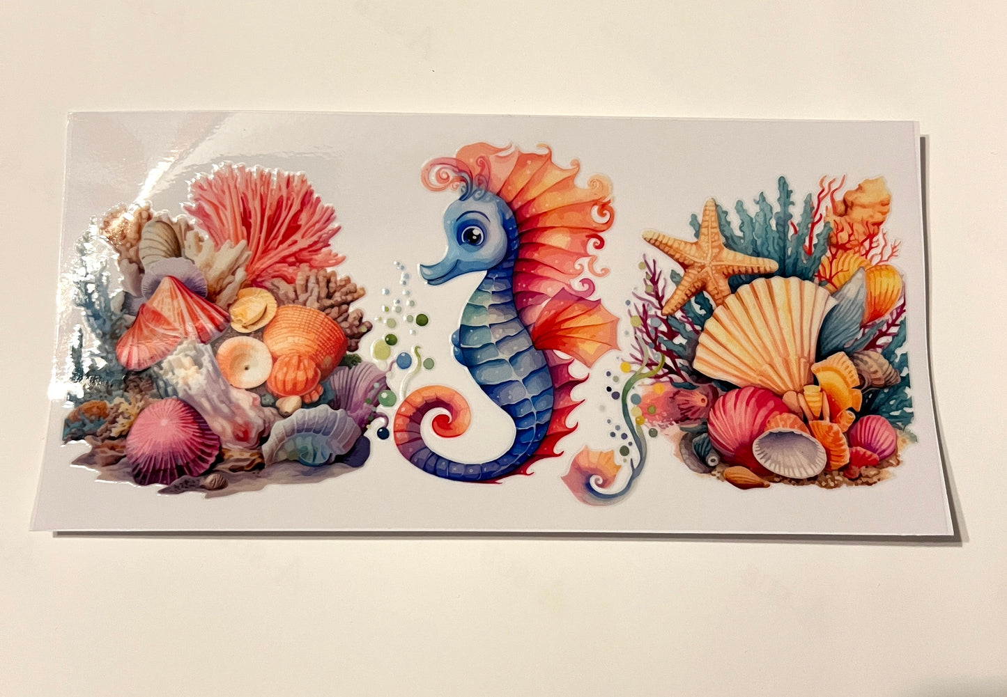Sea Animals