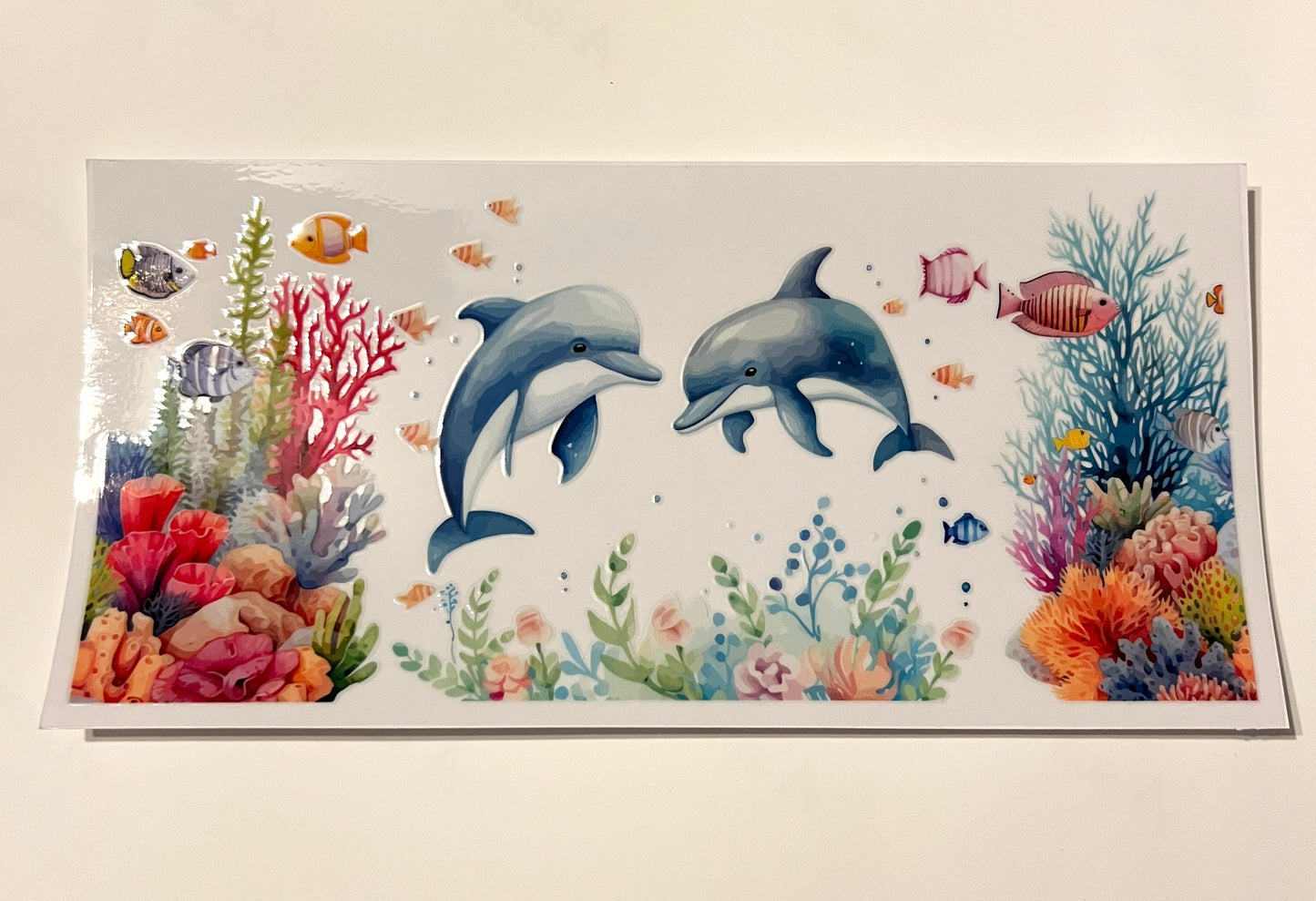 Sea Animals