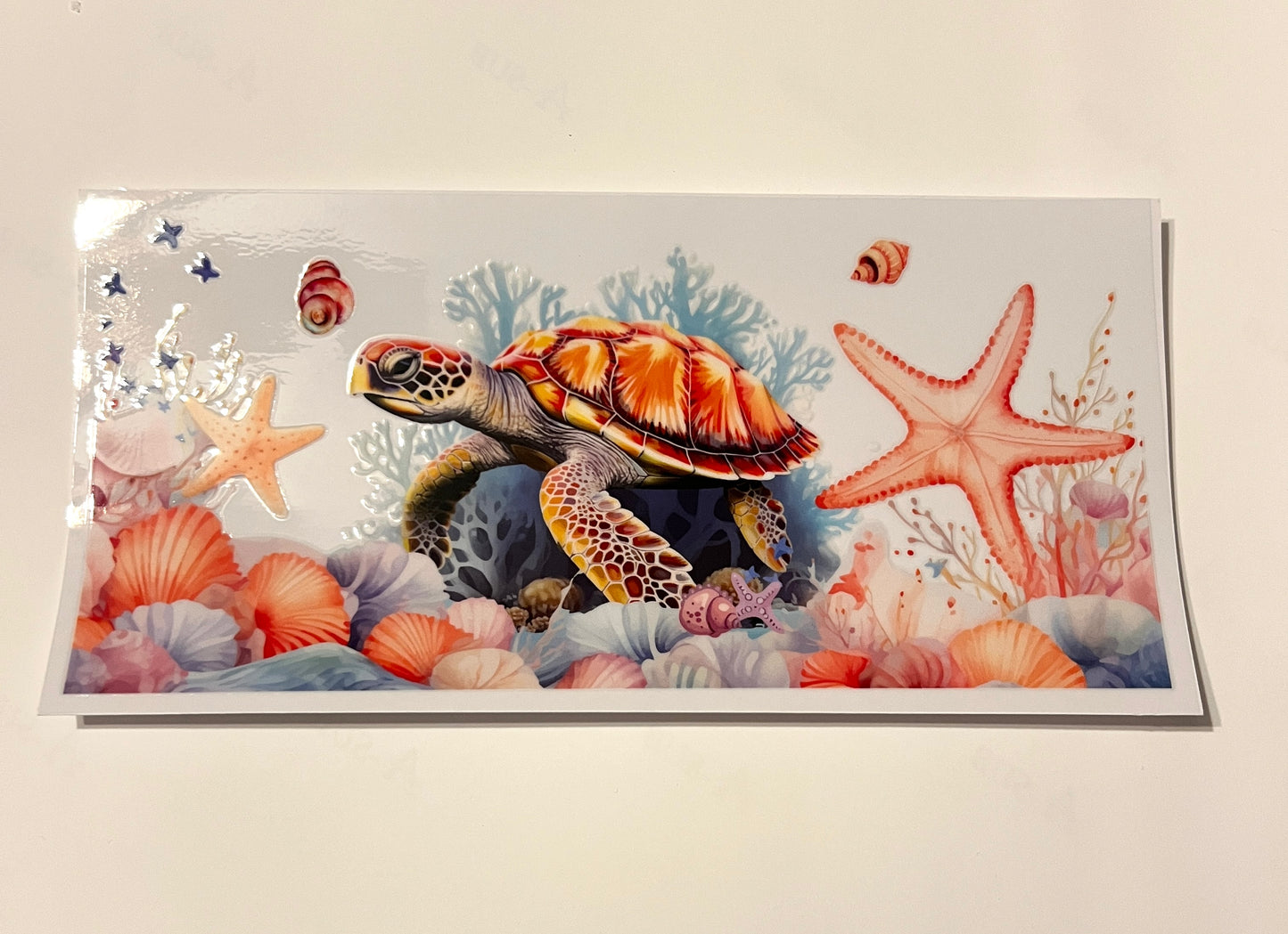 Sea Animals