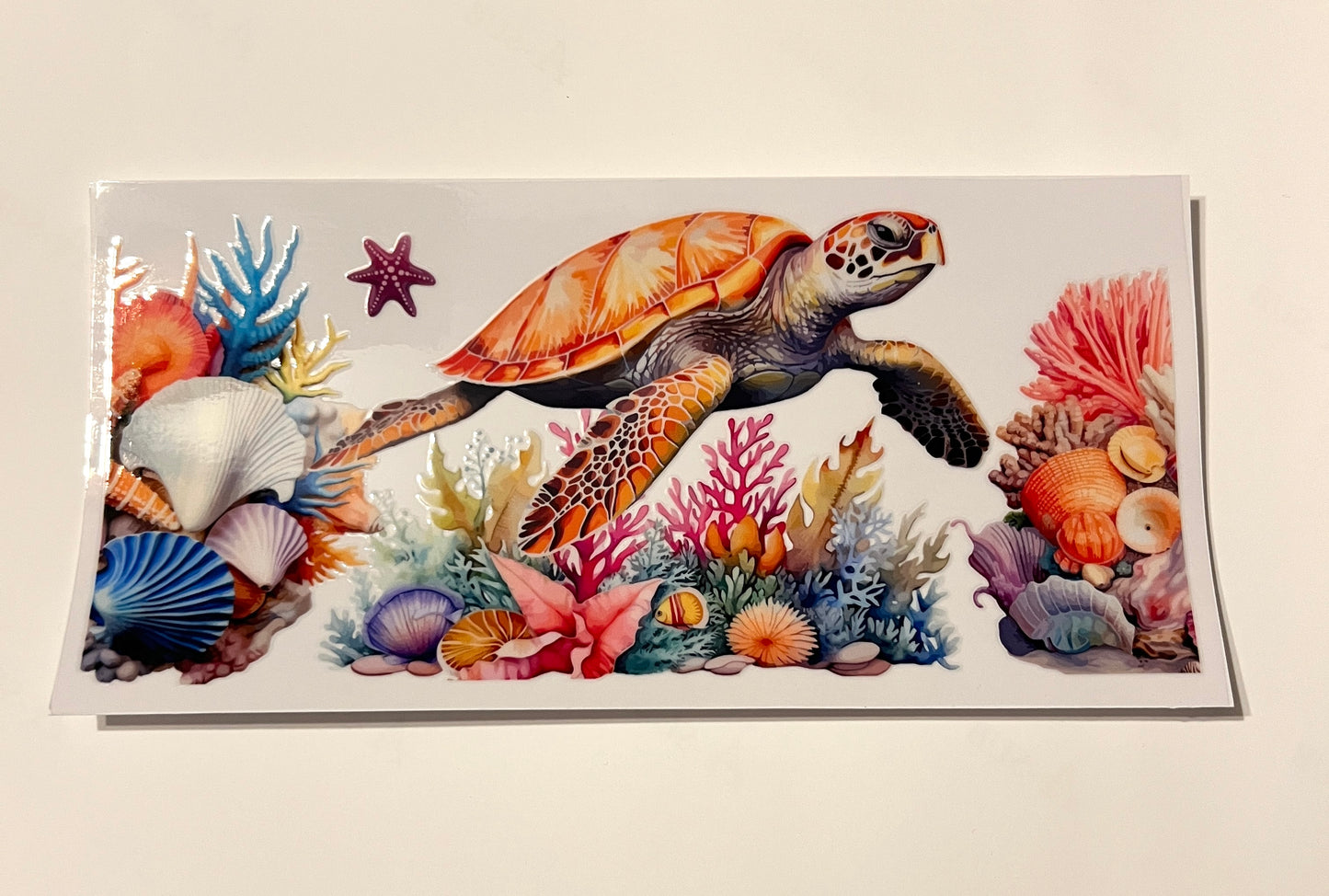 Sea Animals