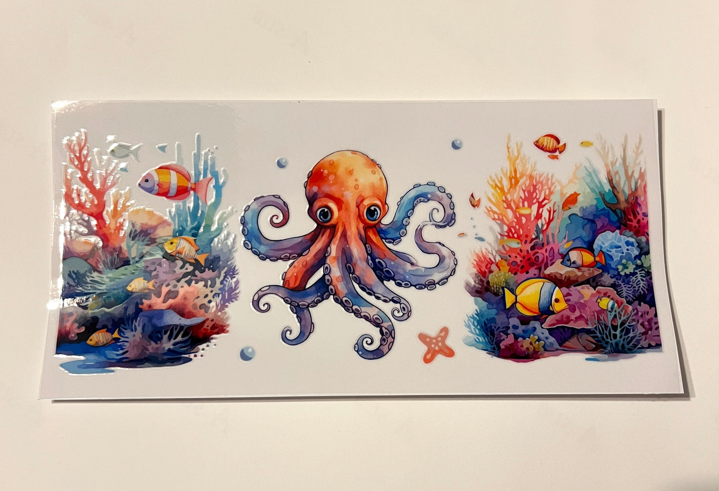 Sea Animals