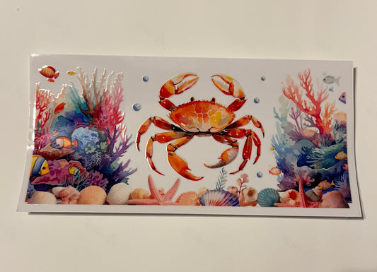 Sea Animals